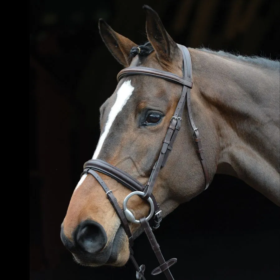 Collegiate Comfort Crown Padded Raised Flash Bridle