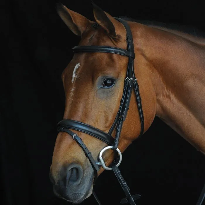 Collegiate Comfort Crown Padded Raised Flash Bridle