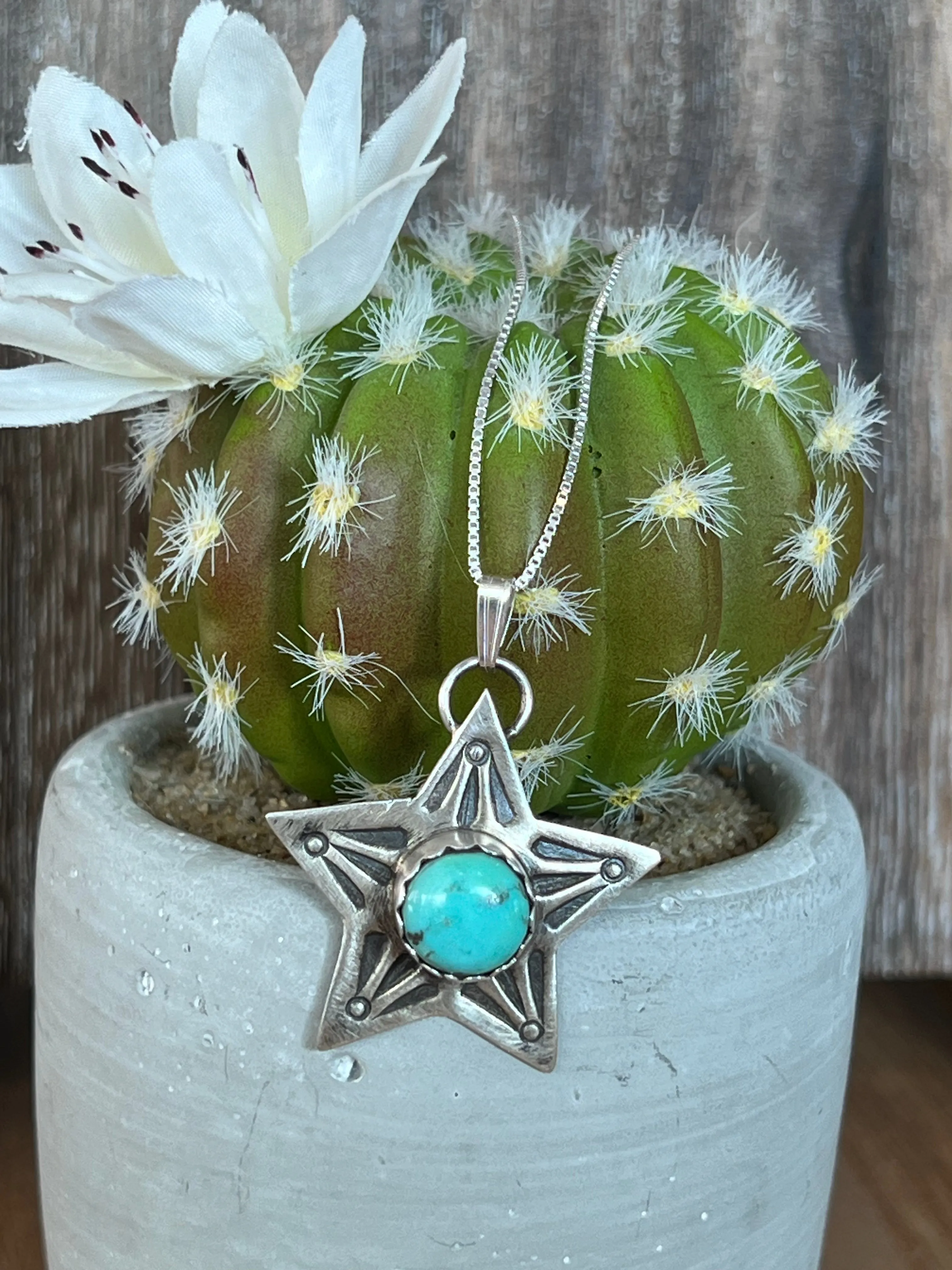 Lone Star Turquoise Sterling Silver Necklace