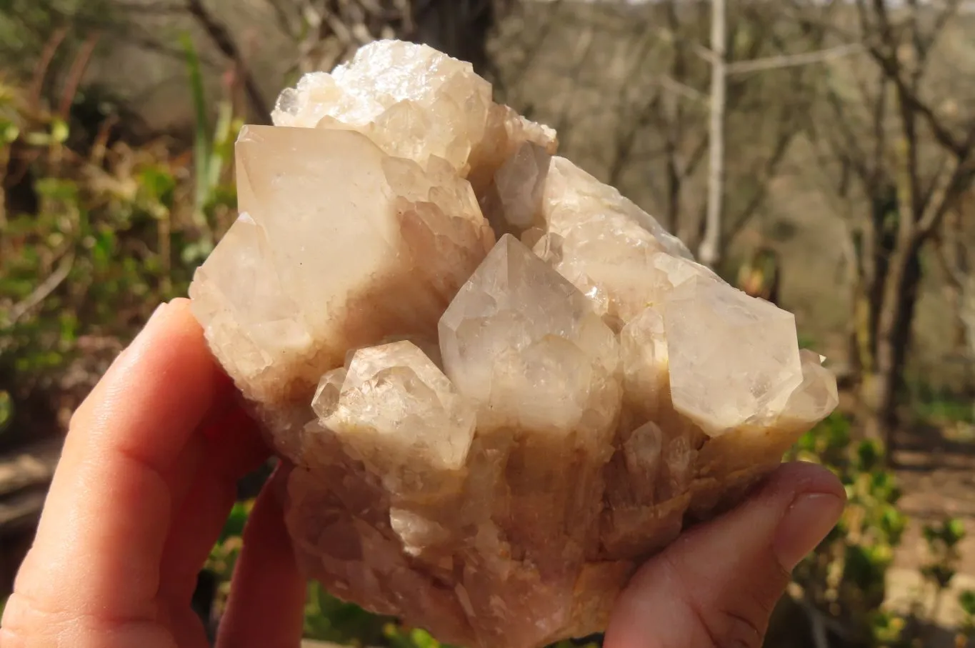 Natural Cascading Smokey Quartz Clusters  x 2 From Congo