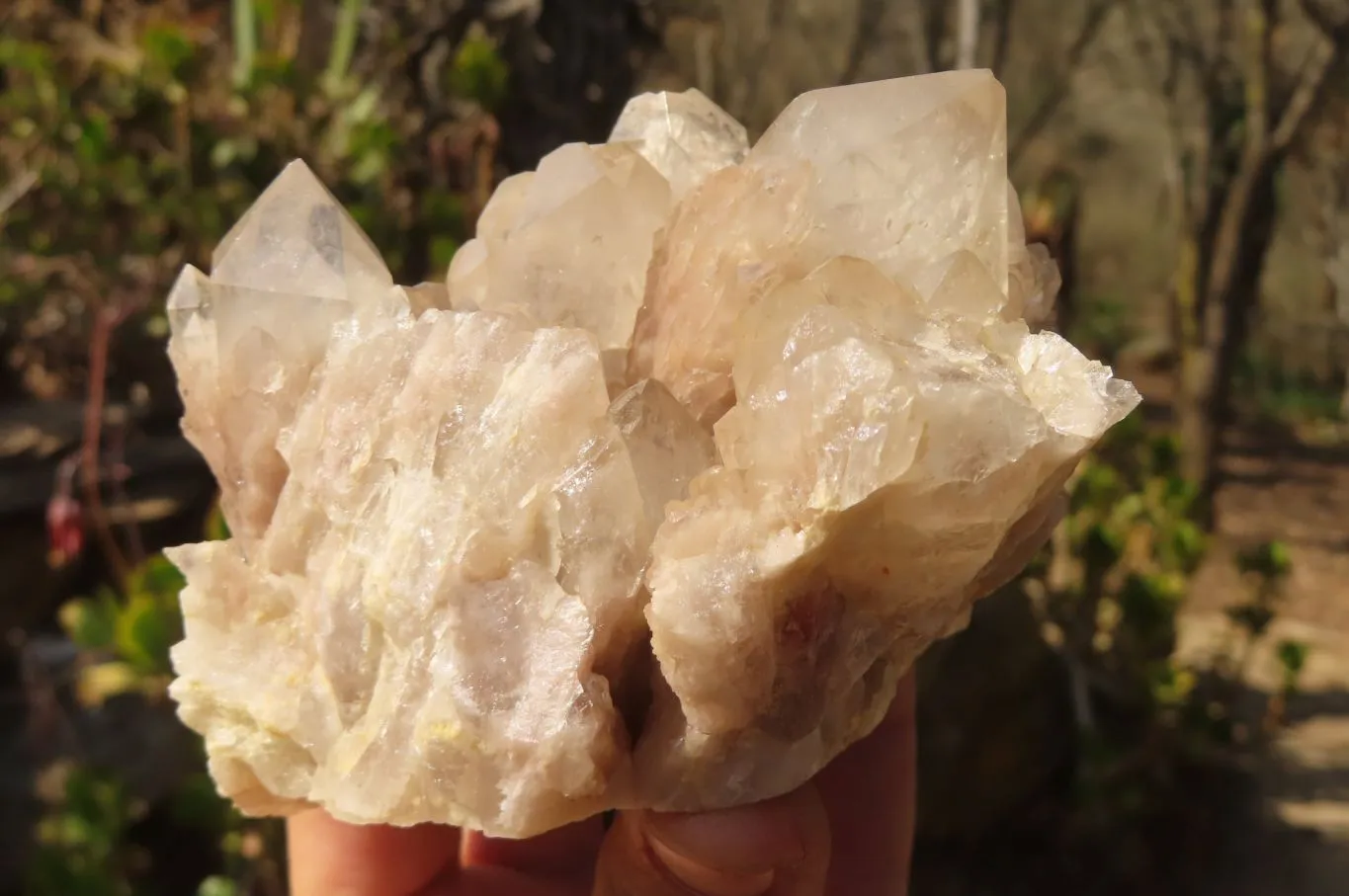 Natural Cascading Smokey Quartz Clusters  x 2 From Congo