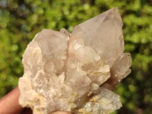 Natural Smokey Quartz Clusters x 6 From Luena, Congo