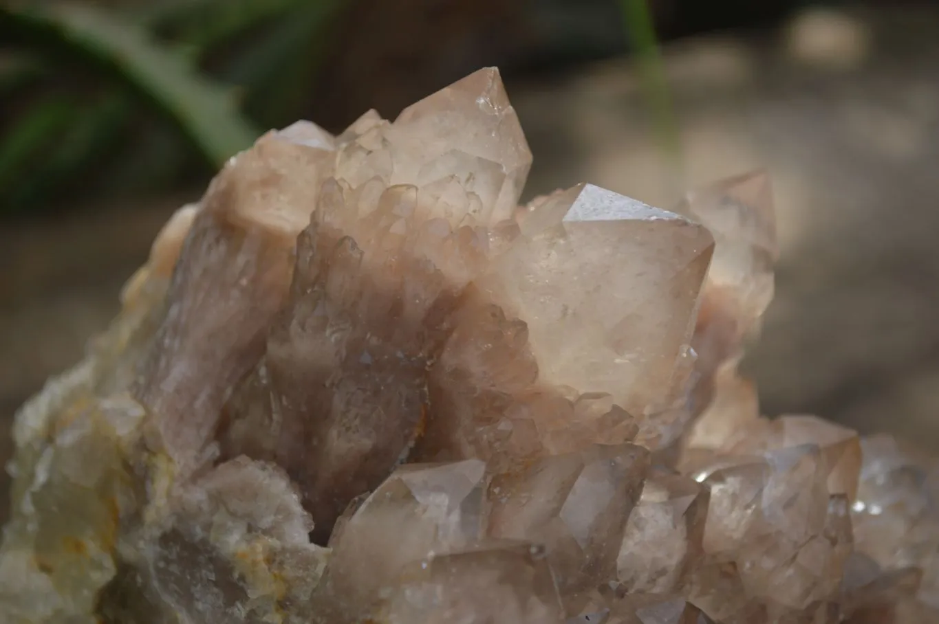 Natural White Phantom Smokey Quartz Cluster x 1 From Luena, Congo