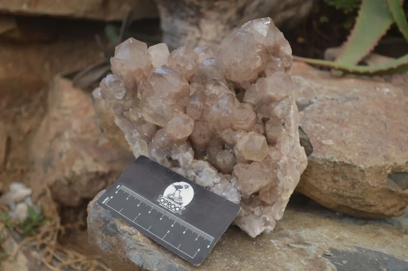 Natural White Phantom Smokey Quartz Cluster x 1 From Luena, Congo