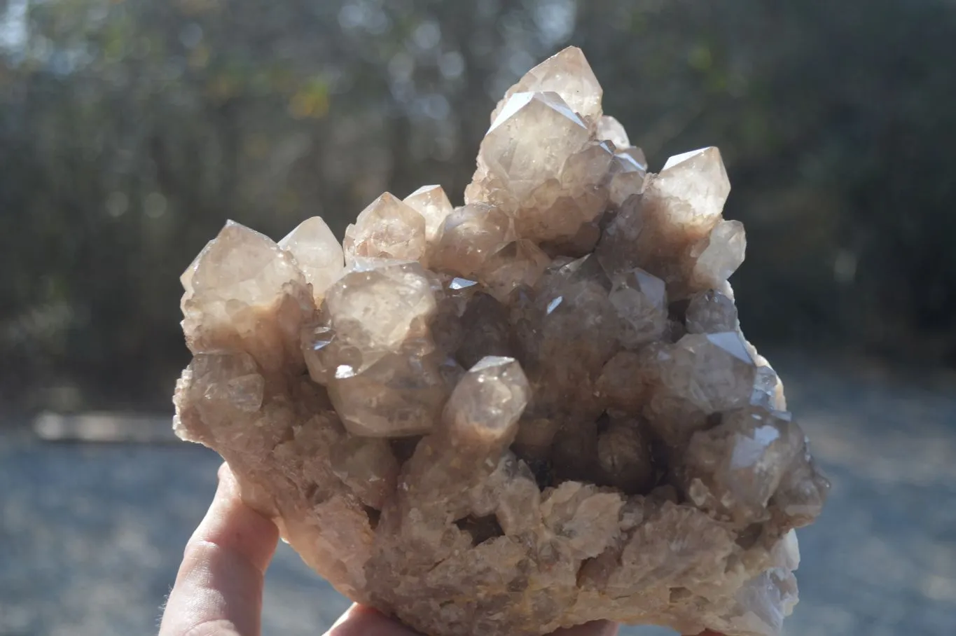 Natural White Phantom Smokey Quartz Cluster x 1 From Luena, Congo