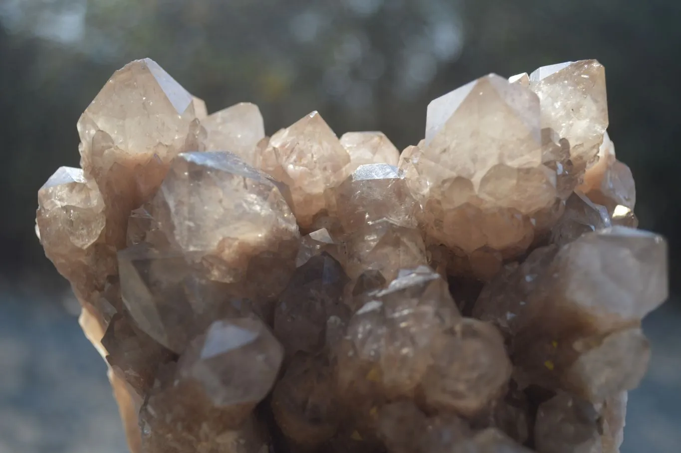 Natural White Phantom Smokey Quartz Cluster x 1 From Luena, Congo